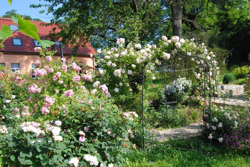 Feriendomizil Alter Garten Temmen-Ringenwalde Exterior foto