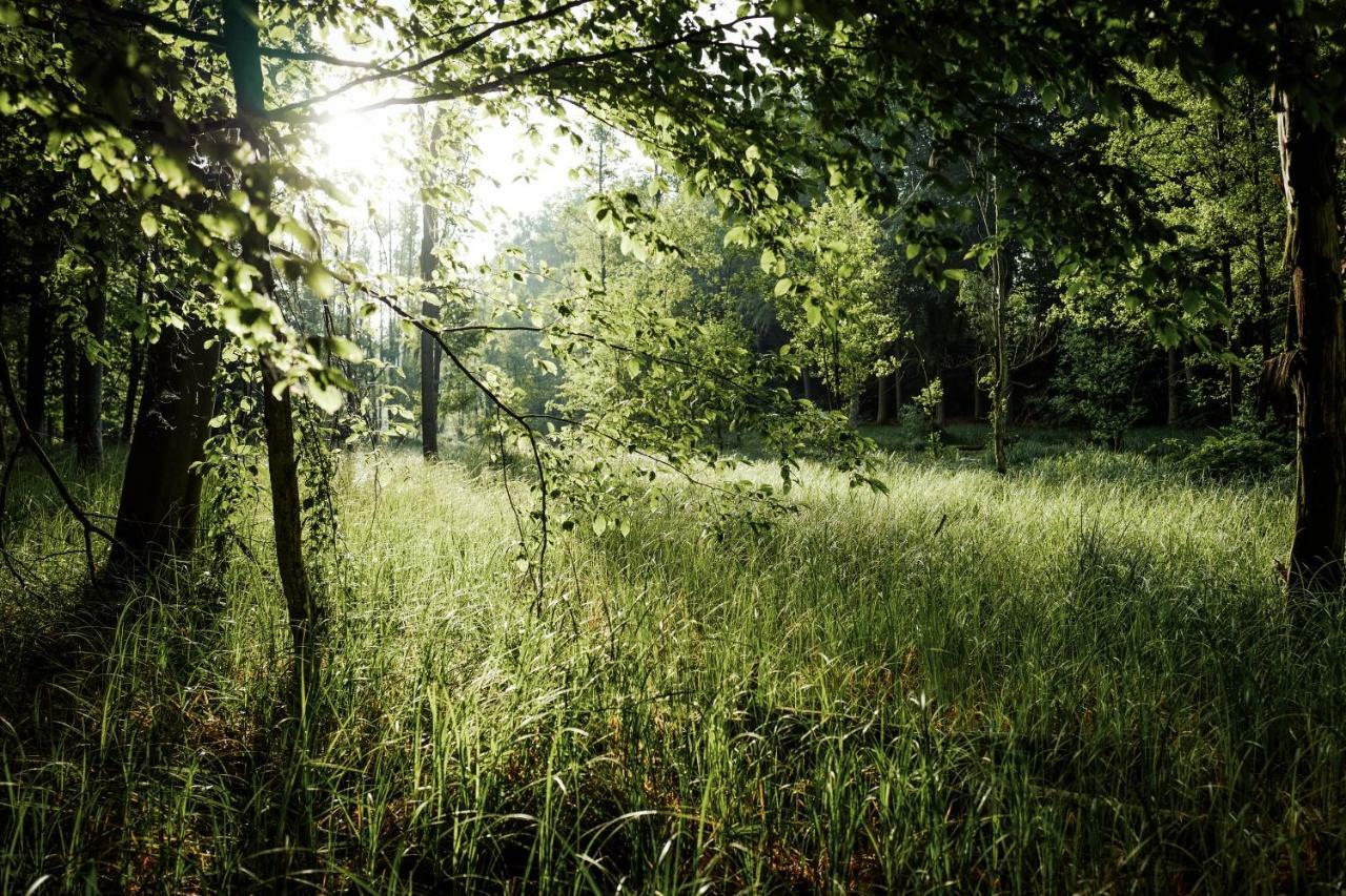 Feriendomizil Alter Garten Temmen-Ringenwalde Exterior foto